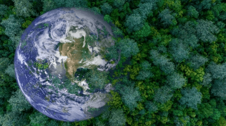 Ecosystem Building & Facilitation