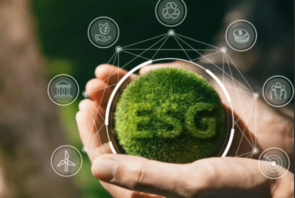 Social Impact Advisory (ESG, Sustainability & SROI)