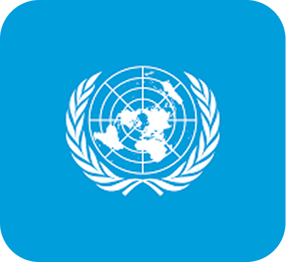 UN Logo